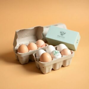 Custom Egg Boxes & Egg Carton Manufacturer in USA