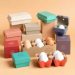 Custom Egg Boxes & Egg Carton Manufacturer in USA